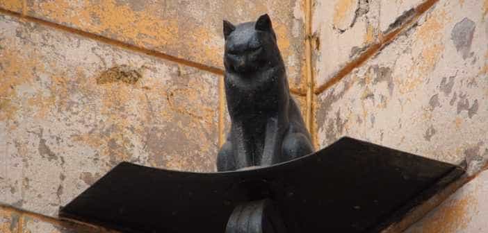Кот "Елисей"