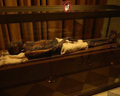 Múmia és merevedés